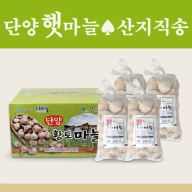 [2025 특등급 햇마늘]한지형 단양황토마늘 1kgx4개(산지직송)