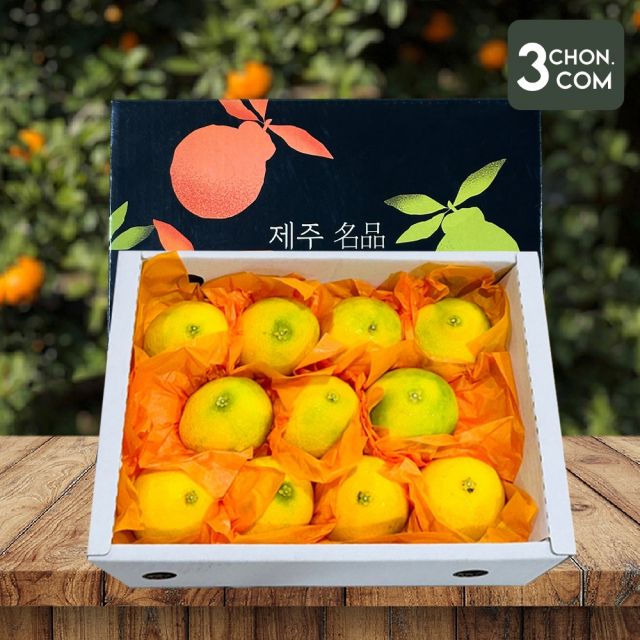 [삼촌밥먹자] 탐나는 제주 프리미엄 황금향 선물세트 1.5kg 소과