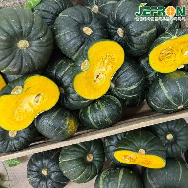 ★기획가★ 특등급! 제주 미니 밤단호박 보우짱 8kg