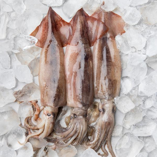 자연산 손질통오징어 200g(2마리)×4팩, 총8마리