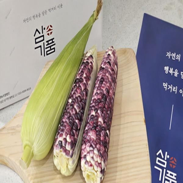 곡성 생 흑찰옥수수 25개