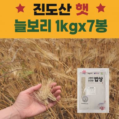 [2025 햇]산들바람 진도 늘보리쌀 1kgx7봉_산지직송