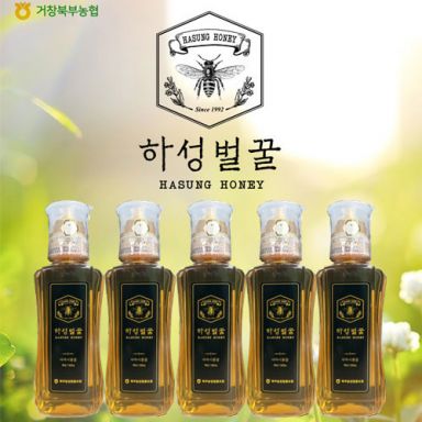 북부농협 1등급 ★하성★ 벌꿀 5병 (아까시꽃꿀)